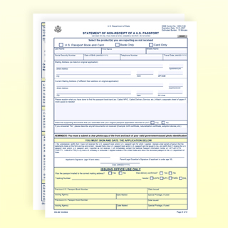 First page of From DS-86 with light yellow headings and blue text